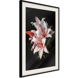 Arkiio Affisch Lilies [Poster] 30x45 Poster